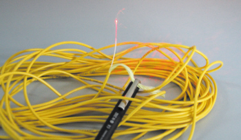 光纤宽带成为温州网民新选择